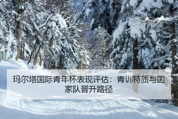 ma-er-ta-guo-ji-qing-nian-bei-biao-xian-ping-gu-qing-xun-te-zhi-yu-guo-jia-dui-jin-sheng-lu-jing-2-366.jpg