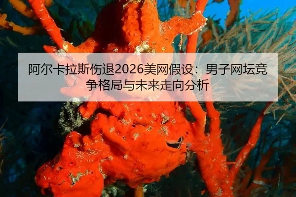 a-er-ka-la-si-shang-tui-mei-wang-jia-she-nan-zi-wang-tan-jing-zheng-ge-ju-yu-wei-lai-zou-xiang-fen-xi-1-642.jpg
